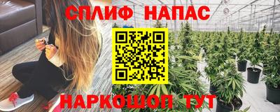 бошки Заводоуковск