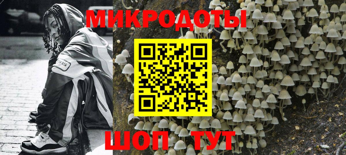 Галлюциногенные грибы Psilocybine cubensis Химки