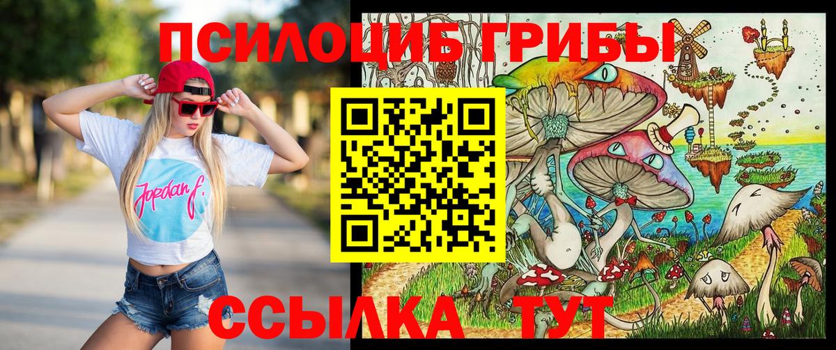Галлюциногенные грибы прущие грибы  Вход с VPN  Химки 